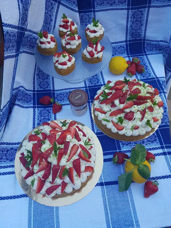 My strawberry garden 5