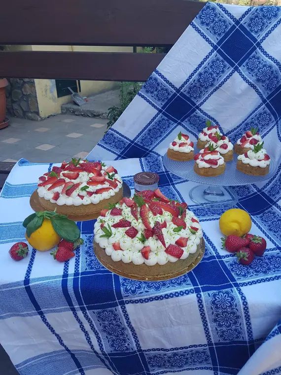 My strawberry garden 6