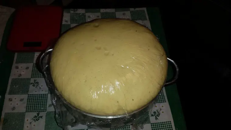Soft pandoro with sourdough 4